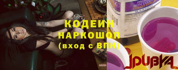 стаф Абаза