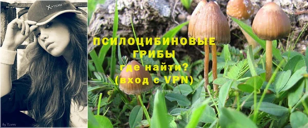 mix Абинск