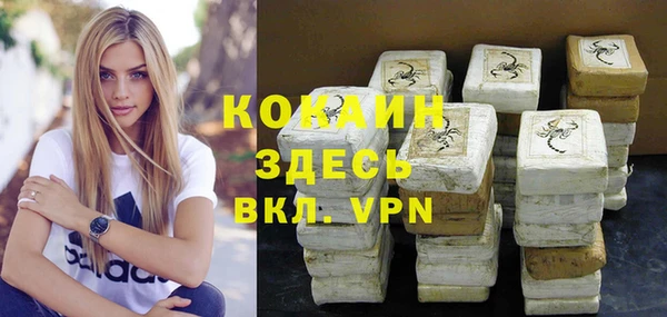 стаф Абаза