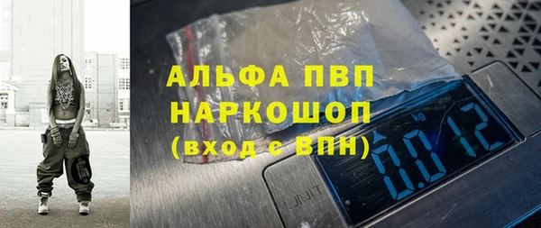 стаф Абаза