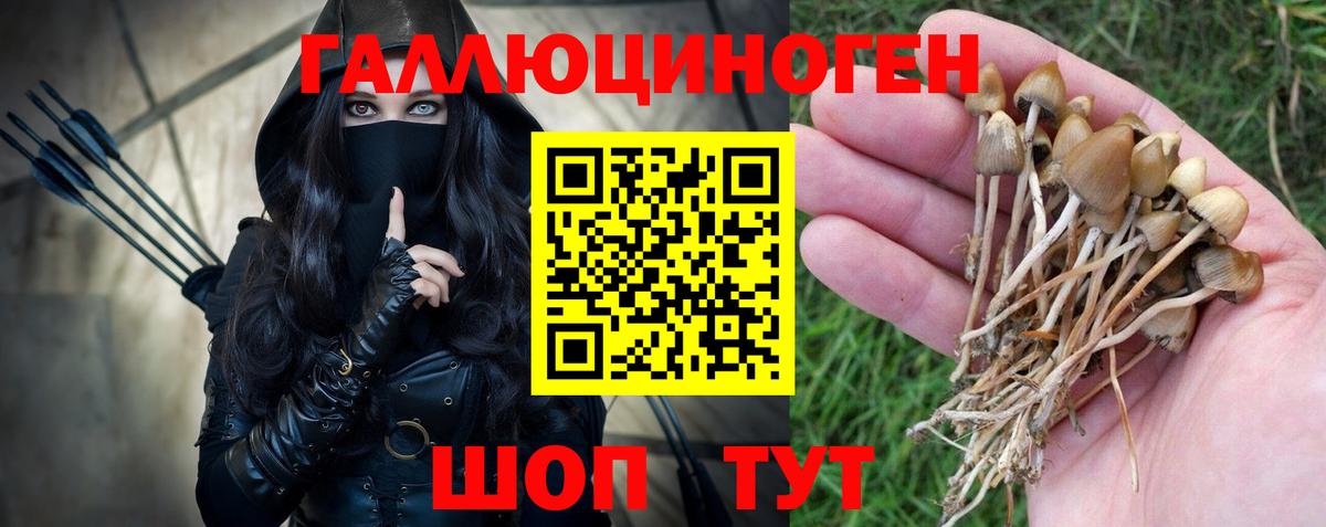 Псилоцибиновые грибы Psilocybe  Вход с VPN  Симферополь 